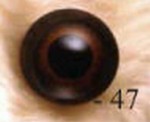 Bärenauge, hinterglasbemalt